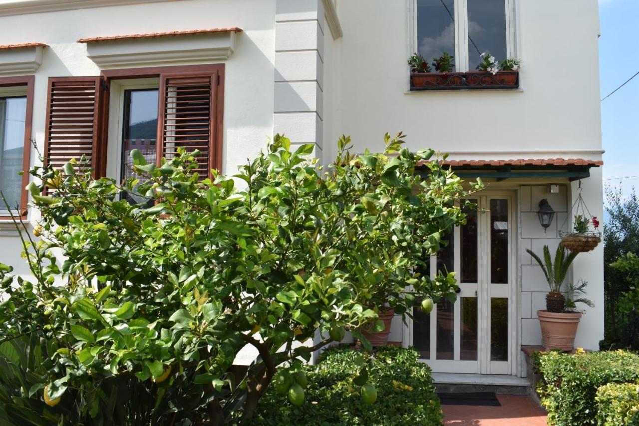 Villa Di Martino Sant'Egidio del Monte Albino Екстер'єр фото